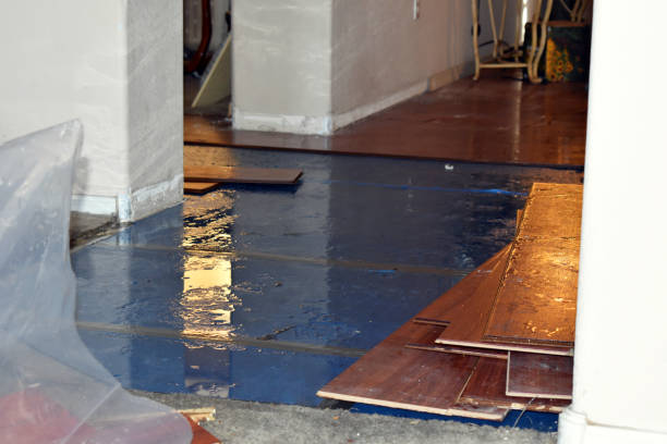 Professional Water Damage Restoration technician working in Pflugerville, TX
